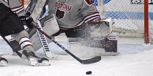 Binghamton Black Bears vs. Port Huron Prowlers