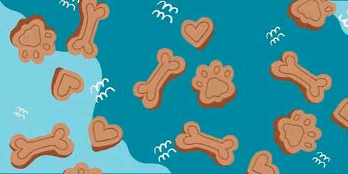 Smalldogsroc Playgroup