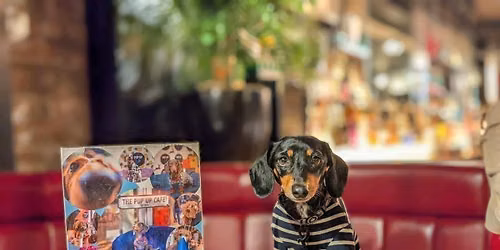 York - Dachshund Pup Up Cafe \u2600\ufe0f