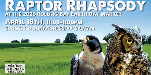 Raptor Rhapsody at the Rolling Bay Earth Day Market