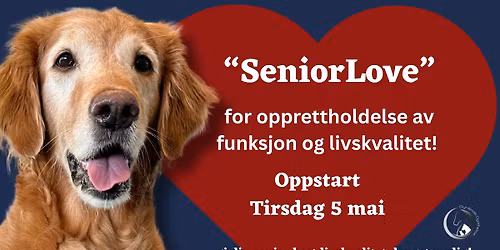 SeniorLove