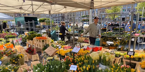 \ud83c\udf3c bloemenmarkt op paasmaandag op de Grote Markt