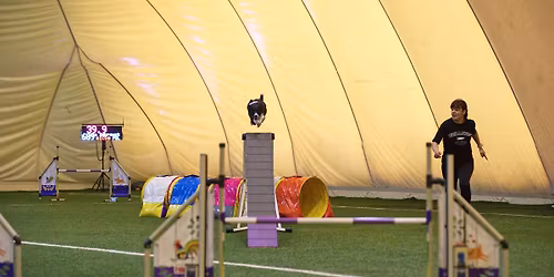 Maj\u00f3wkowe treningi agility ok. Tr\u00f3jmiasta