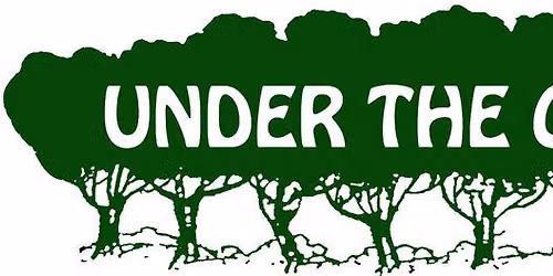 Under the Oaks Fine art Show