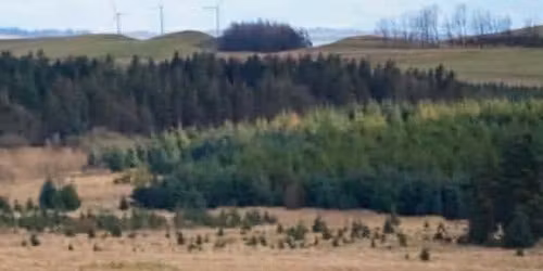 Tracktion Track Days - Saturday 7th March