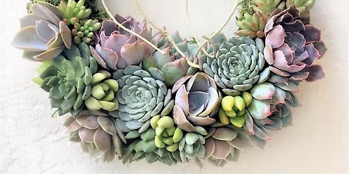 Living Succulent Wreath