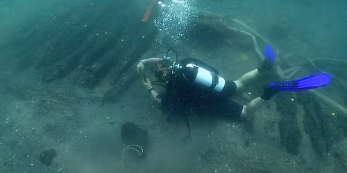 P\u00e5 sporet av Vasco da Gamas skip (p\u00e5 engelsk)