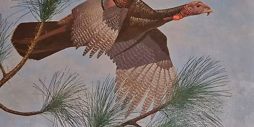 Let's Talk Turkey--a special Curator-led Tour