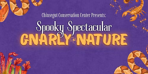 Spooky Spectacular Fall Festival