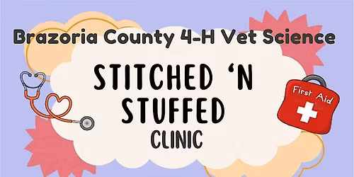 Stitched 'N Stuff Clinic