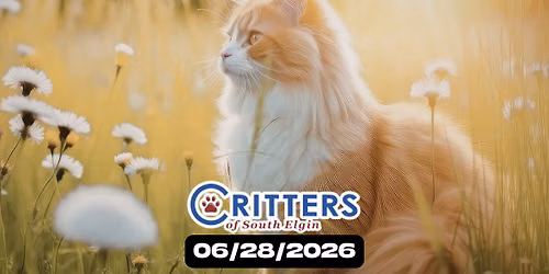 Forever Homes & Summer Vibes Adoption Day