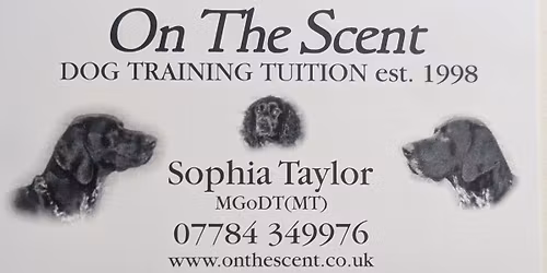 SCENT WORKSHOP