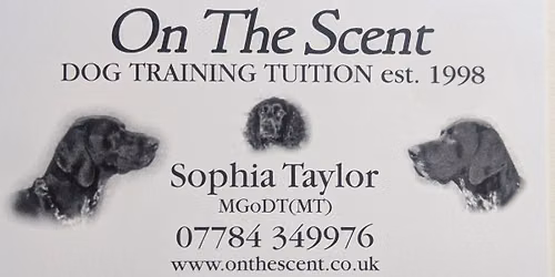 SCENT WORKSHOP