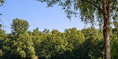 Lincoln Hike Club - Saturday Social 4 - The Swan Holme Circular