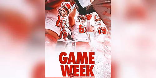 Western Kentucky Lady Toppers at Missouri State Bears Womens Basketball