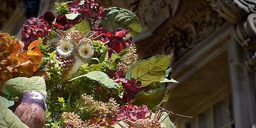 Christmas at Castle Hill: A Nod to Nature