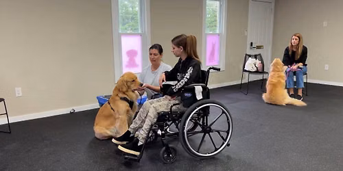 Therapy dog prep