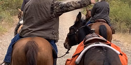 Ride Into Fall w\/Friends