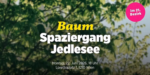 Baumspaziergang in Jedlesee