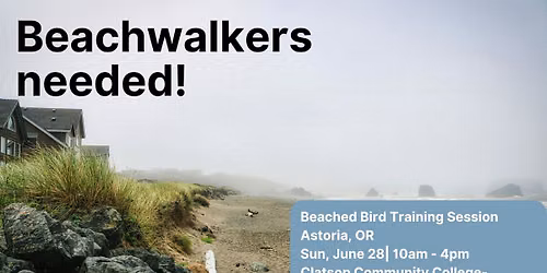 Astoria Beached Birds Training