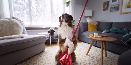 Trick-Star Novice Trick Class