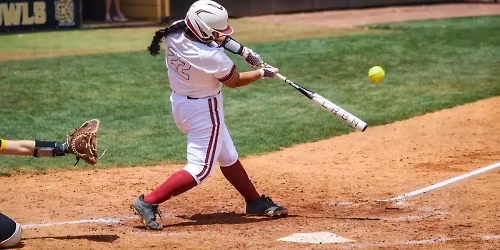 Parking Kennesaw State Owls at Georgia Bulldogs Baseball