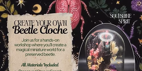 Beetle Cloche Workshop \ud83e\udeb2