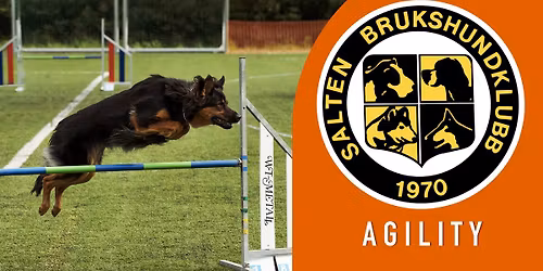 Oktobersprett i Salten 3.-4. okt