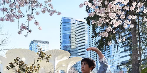 Tai Chi on the Terrace