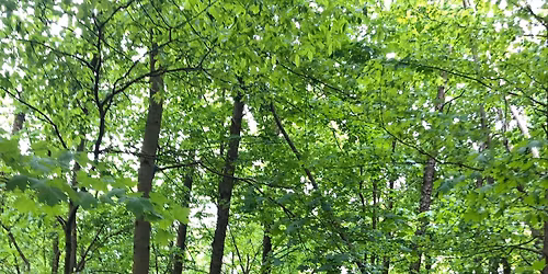 Wilderness and Remote First Aid