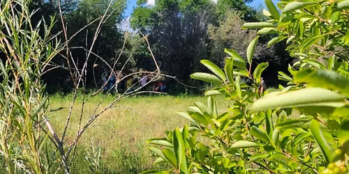Cottonwood Grove Fairy Village Workshop