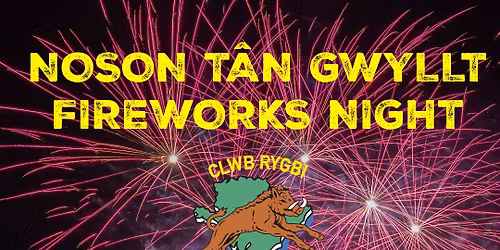 Noson T\u00e2n Gwyllt - Fireworks Night