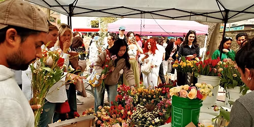 In Bloom: A Flower Market & Workshop