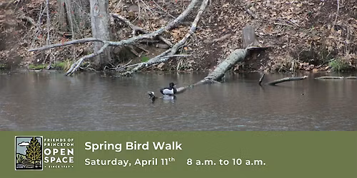FOPOS Spring Bird Walk with Winnie Hughes Spar \/\/ Saturday, April 11th
