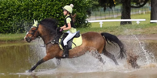 Twesledown XC 