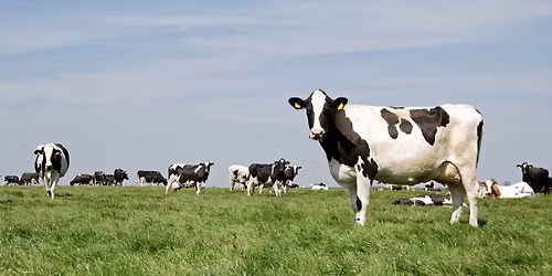 Homeschool Farm Tour-Muddy H Farms
