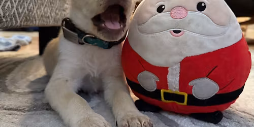 2025 MVE Christmas Party