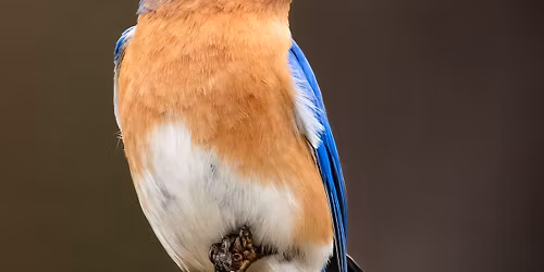 First Saturday - August's: Keepers of the Prairie