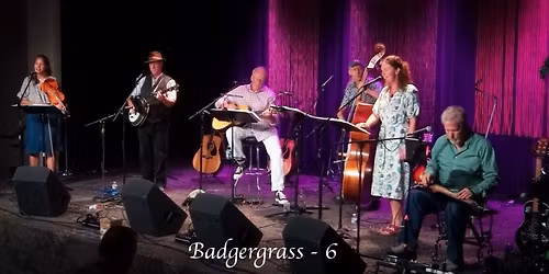 Badgergrass 6 _ Christmas