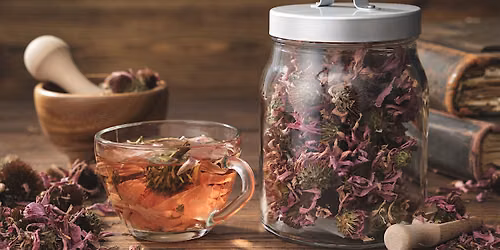 July 2026 In Person, Hands-on, Learn Herbalism Through Tea 101 Masterclass