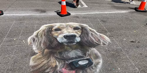 Chalk Art Exhibition