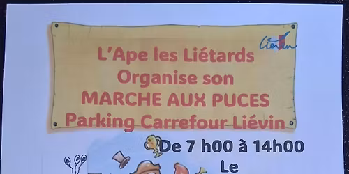 marche aux puces parking carrefour lievin