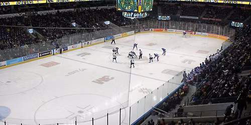 London Knights at Sarnia Sting