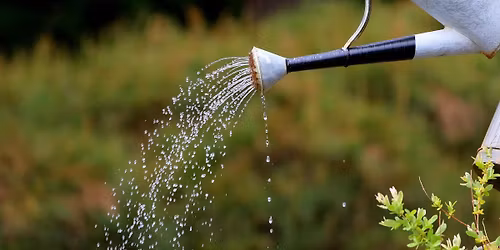 Water Wisely: Understanding Soil Principles and Clean Water