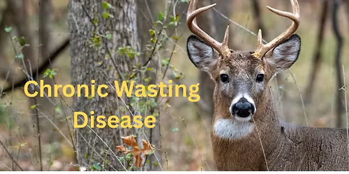 Chronic Wasting Disease