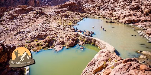 \u0645\u063a\u0627\u0645\u0631\u0629 \u0648\u062f\u064a\u0627\u0646 \u0643\u0627\u062a\u0631\u064a\u0646 