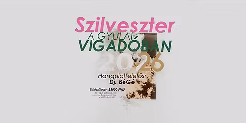 Szilveszter a gyulai Vigad\u00f3ban\ud83e\udd42