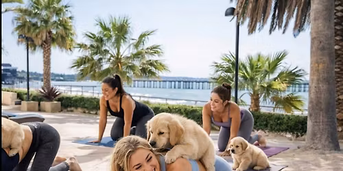 Paws & Yoga: Ventura\u2019s Beachfront Puppy Yoga Experience