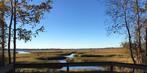 Estuary Discoveries