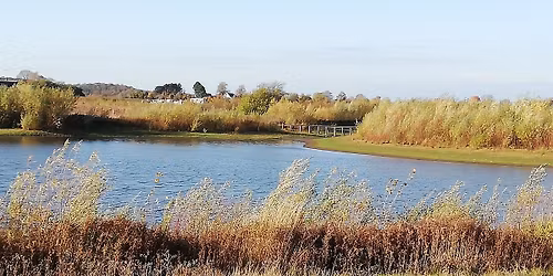 24\/11 kl. 1300. R\u00f8nneb\u00e6k S\u00f8skov 5 km. Hastighed 4,5 km\/t. Start for enden af s\u00f8en, Byst\u00e6vnet.